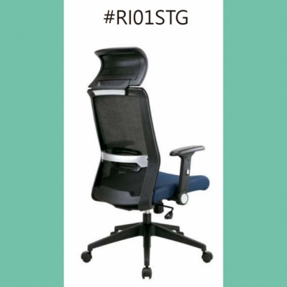 _RI01STG.jpg _RI01STG.jpg