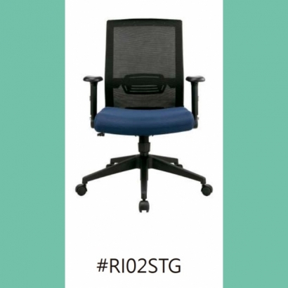 RI02STG.jpg