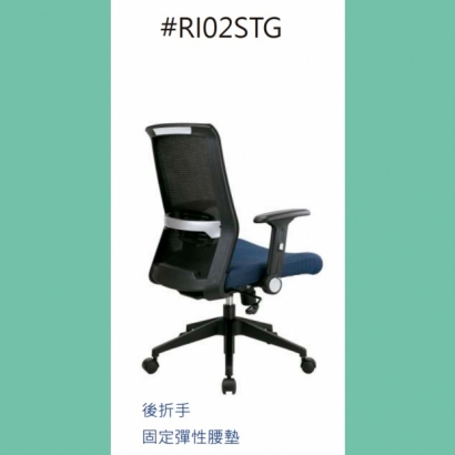 _RI02STG.jpg