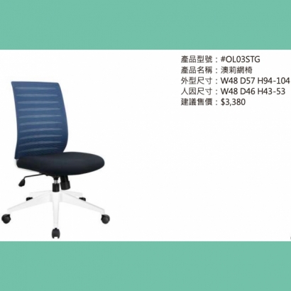OL03STG 澳莉網椅.jpg